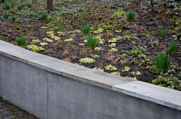 Concrete Wall Construction in Independence