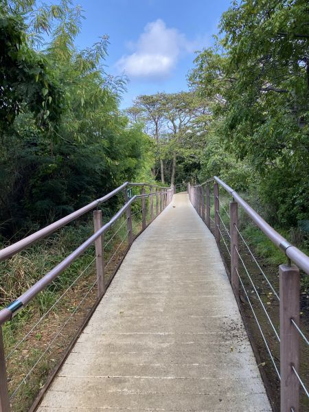 Footpath Construction in Independence