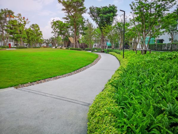 Cement Walkway Service in Independence
