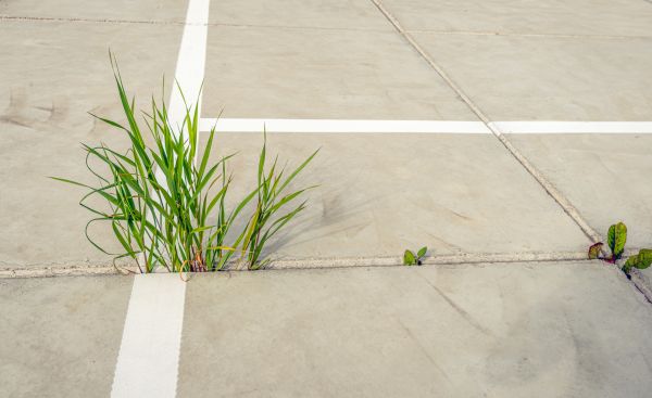 Concrete Parking Installation in Independence
