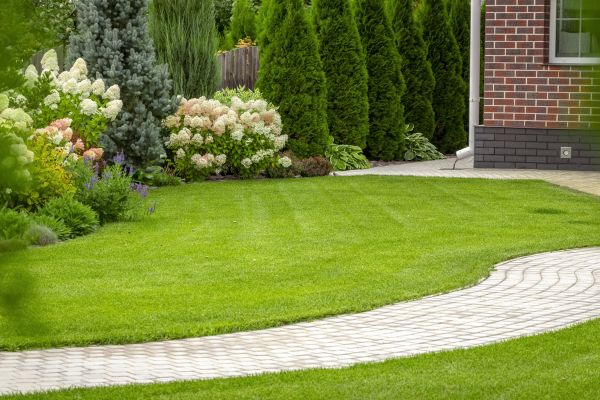 Landscape Walkway Installation in Independence